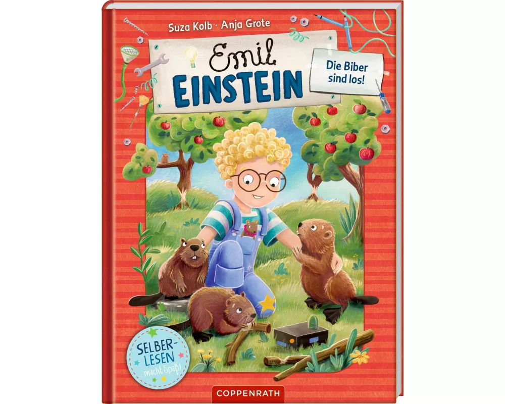 Emil Einstein (Leseanfänger, Bd. 1)