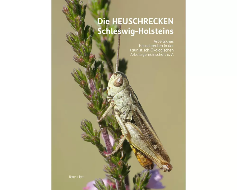 Die Heuschrecken Schleswig-Holsteins