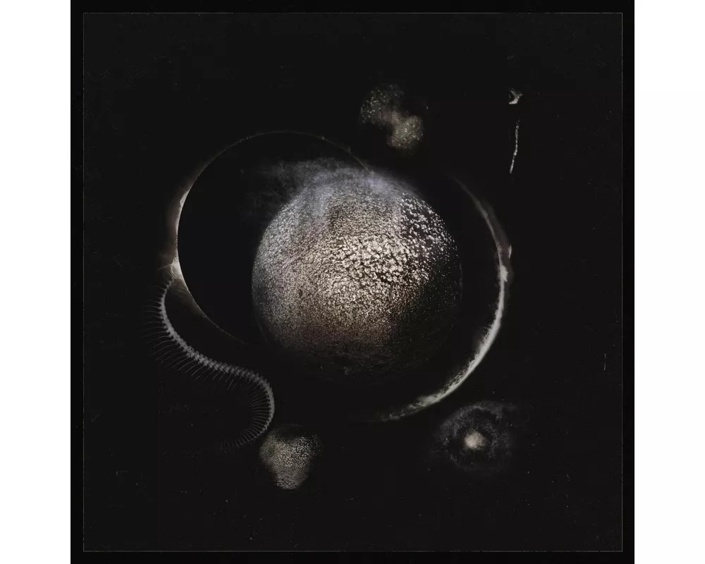 Cold Black Suns