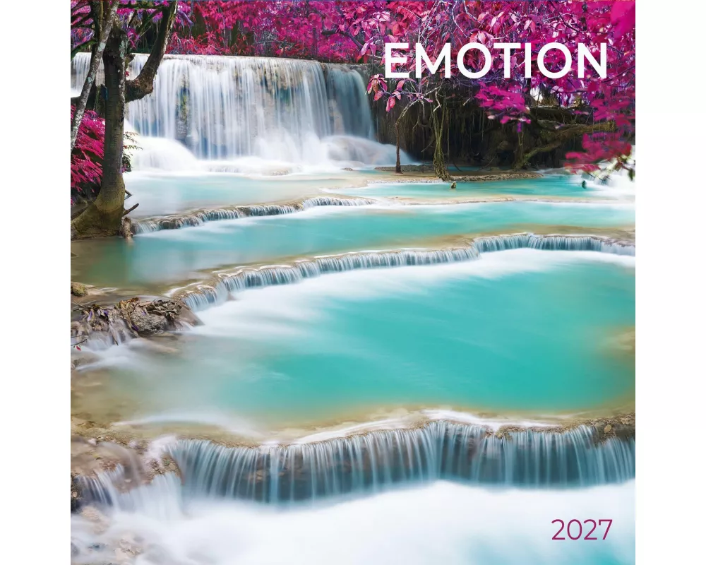 Emotion 2027