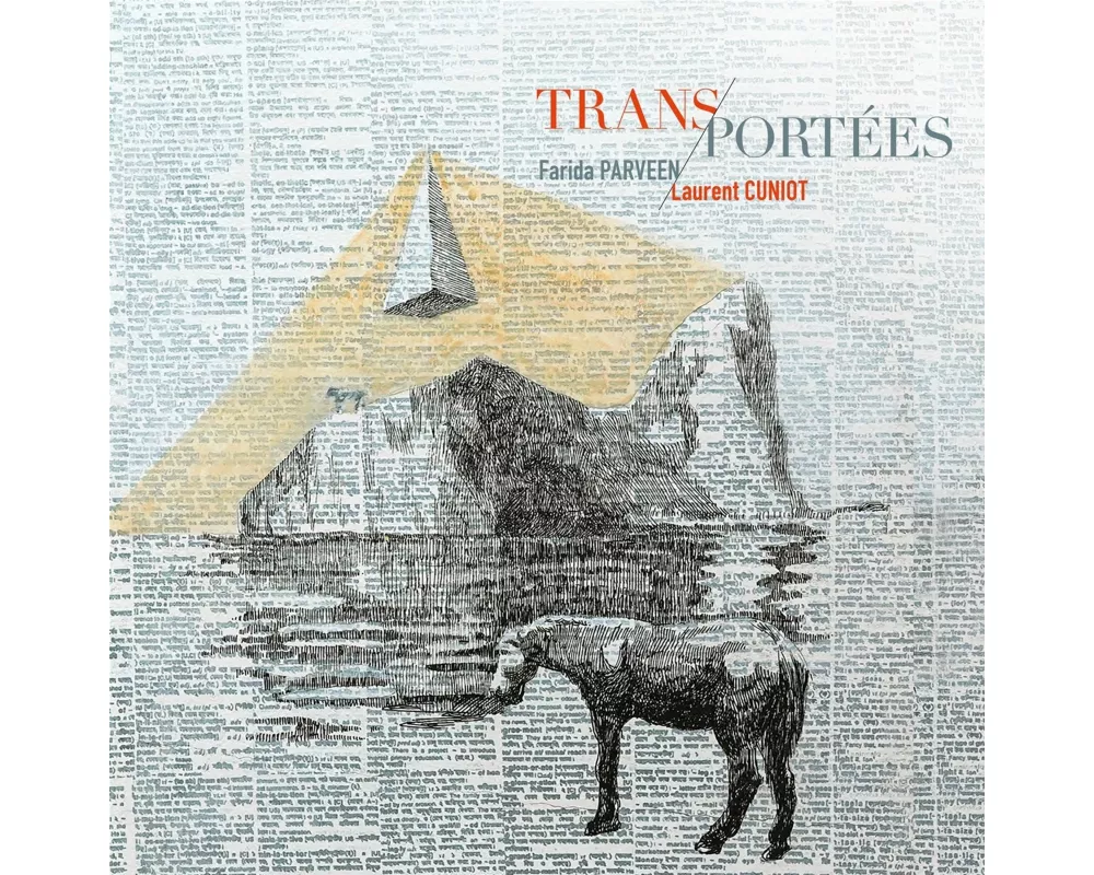 Trans-Port'es