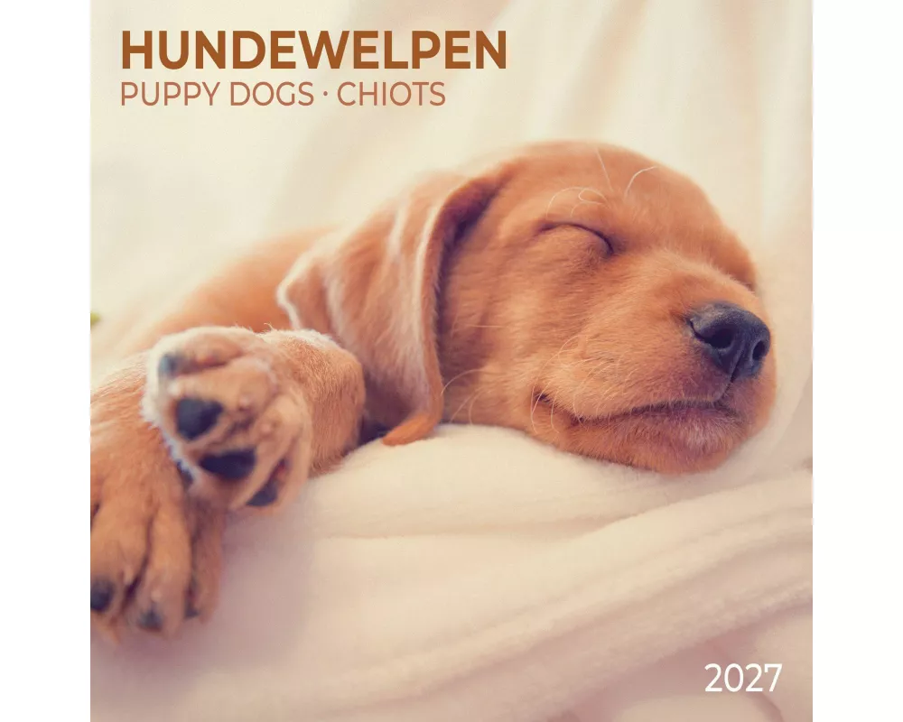 Hundewelpen / Puppy Dogs 2027