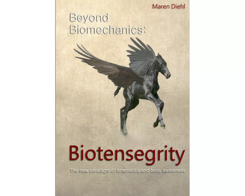 Beyond Biomechanics - Biotensegrity