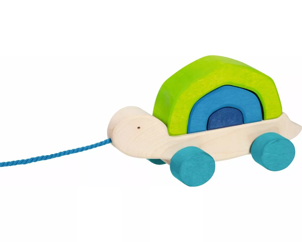 Ziehtier Schildkröte Tortuga