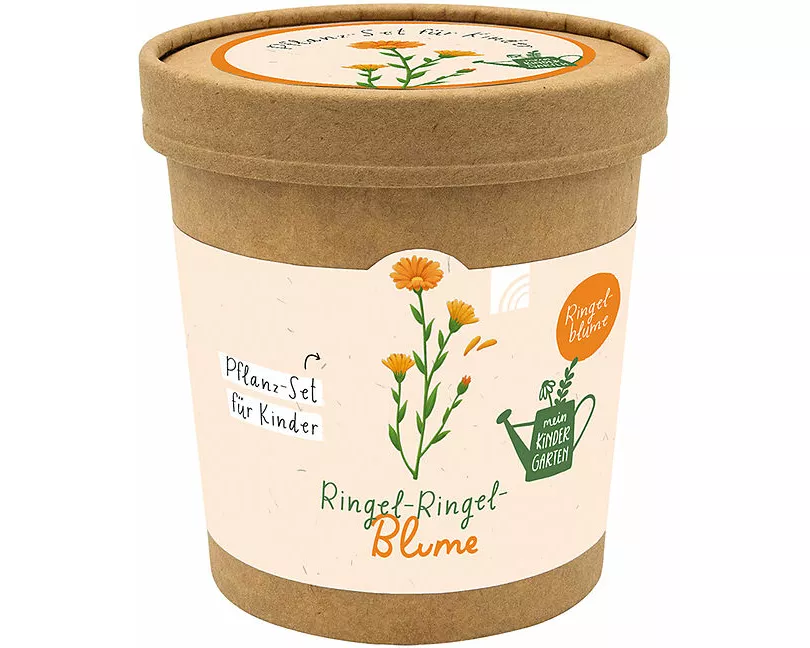 Ringel-Ringel-Blume