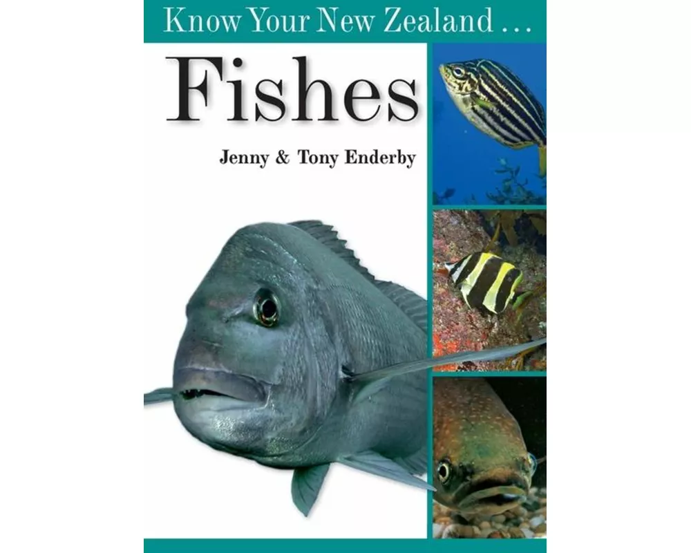 Know Your New Zealand Fishes