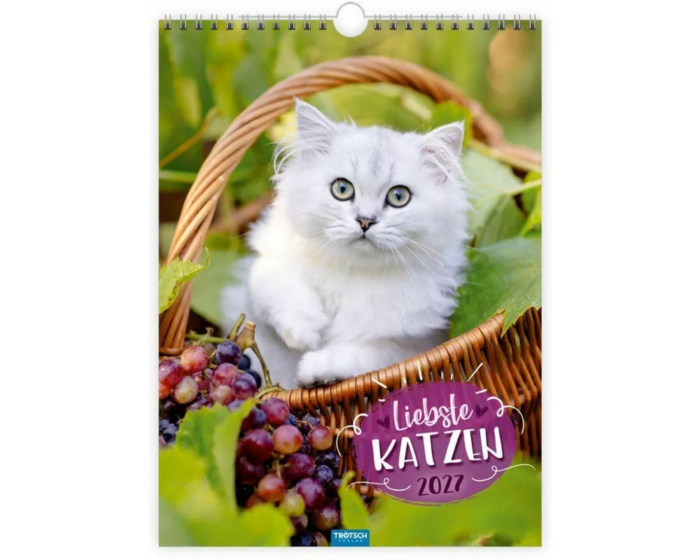 TRÖTSCH - Classickalender Liebste Katzen 2027