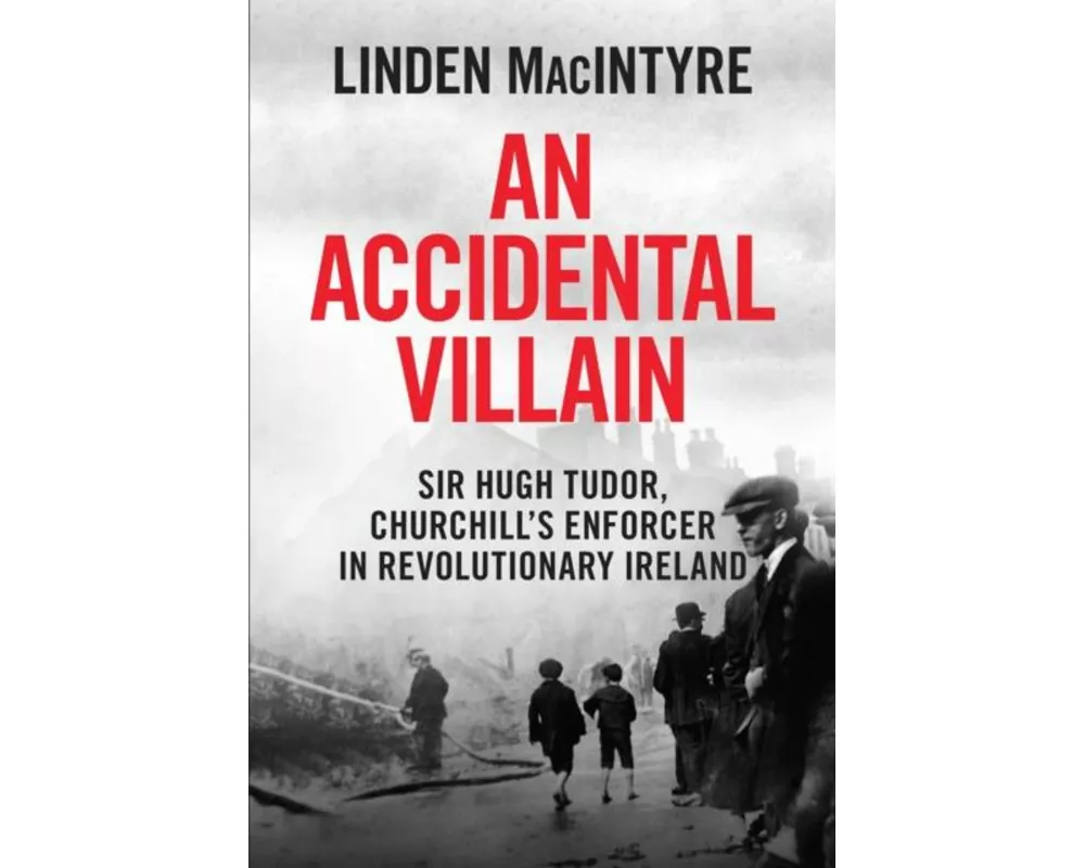 An Accidental Villain