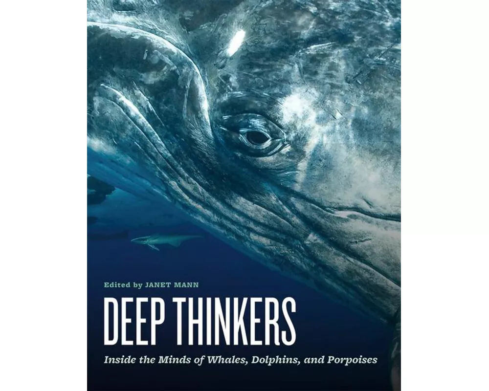 Deep Thinkers