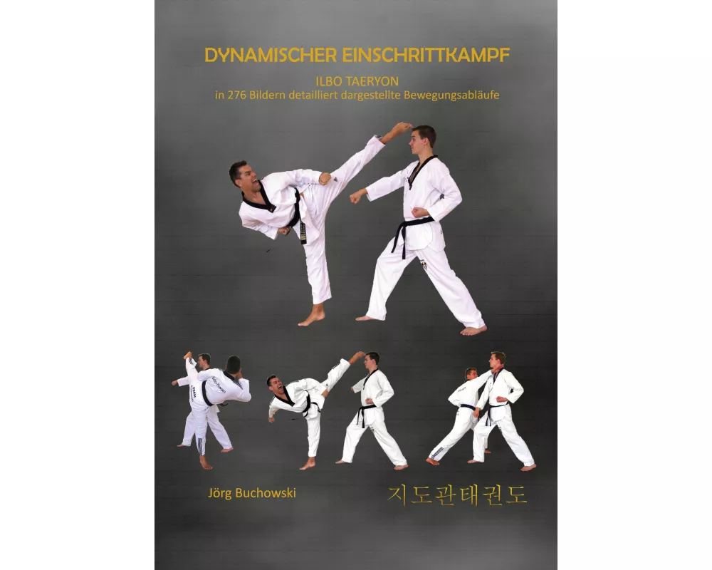 Dynamischer Einschrittkampf Ilbo Taeryon