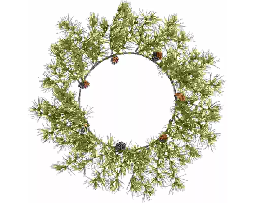 Lärchenkranz mit Zapfen Ø 50cm