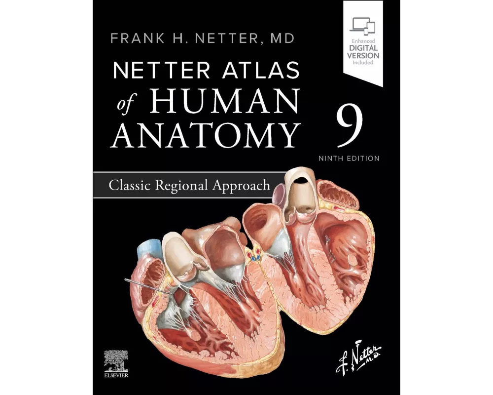 Netter Atlas of Human Anatomy: Classic Regional Approach