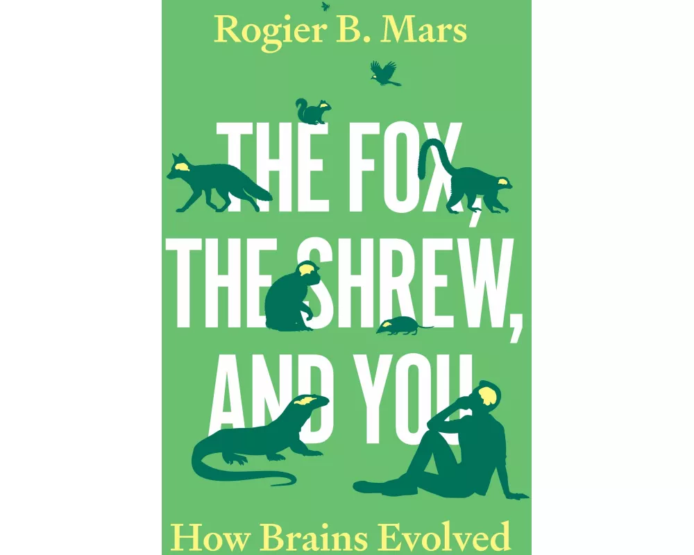 The Fox, the Shrew, and You