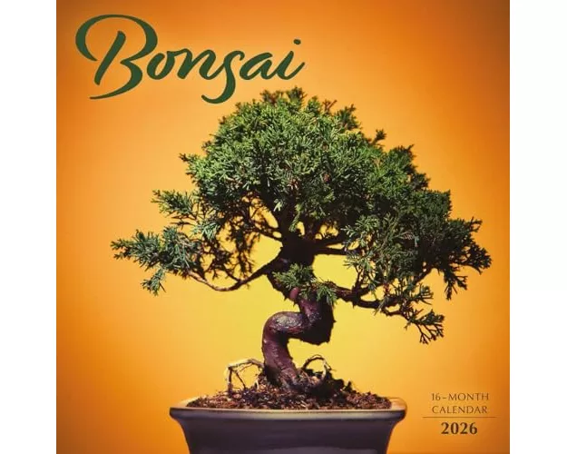 Bonsai Square Wall Sunday Start Calendar