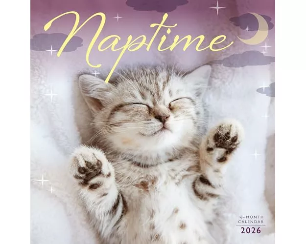 Naptime Square Wall Sunday Start Calenda