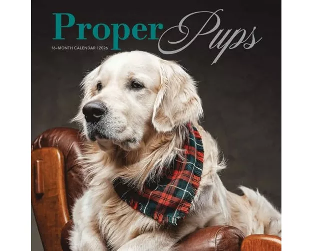 Proper Pups Square Wall Proper Pupssunda