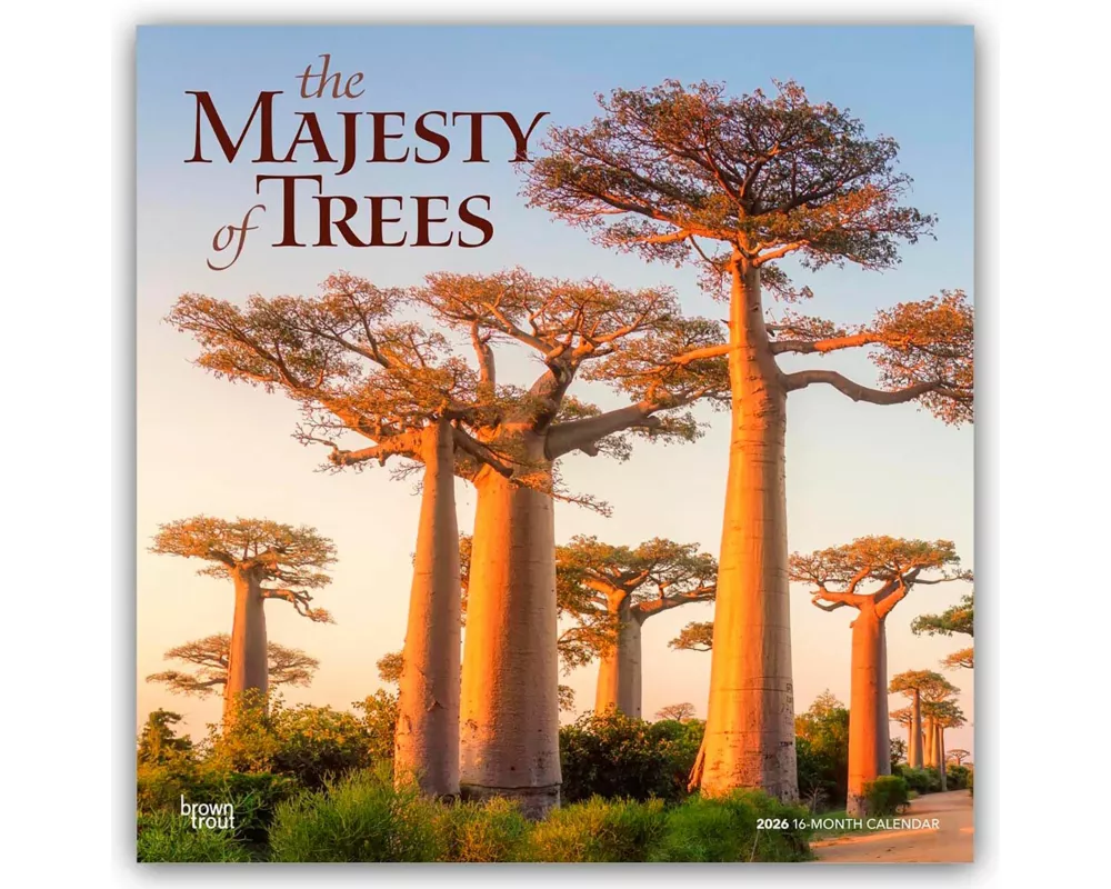 The Majesty of Trees - Die Erhabenheit der Bäume 2026 - 16-Monatskalender