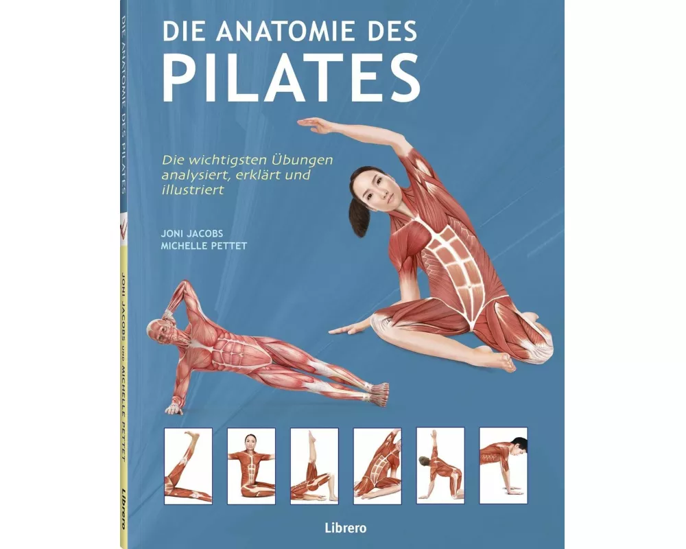 Die Anatomie des Pilates