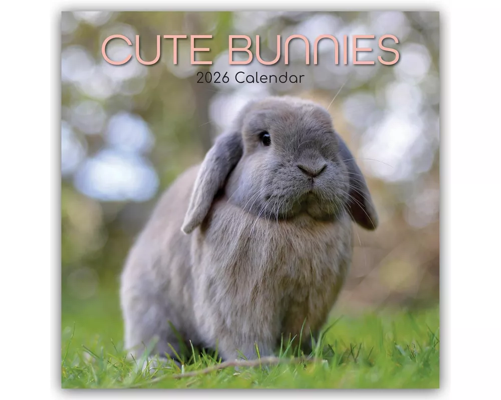Cute Bunnies - Niedliche Kaninchen 2026 - 16-Monatskalender