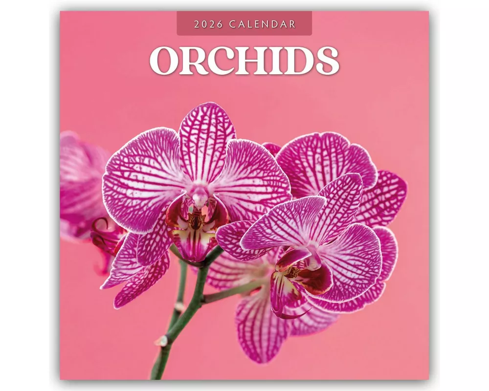 Orchids - Orchideen 2026 - 16-Monatskalender