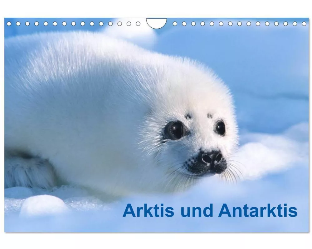 Arktis und Antarktis (Wandkalender 2026 DIN A4 quer), CALVENDO Monatskalender