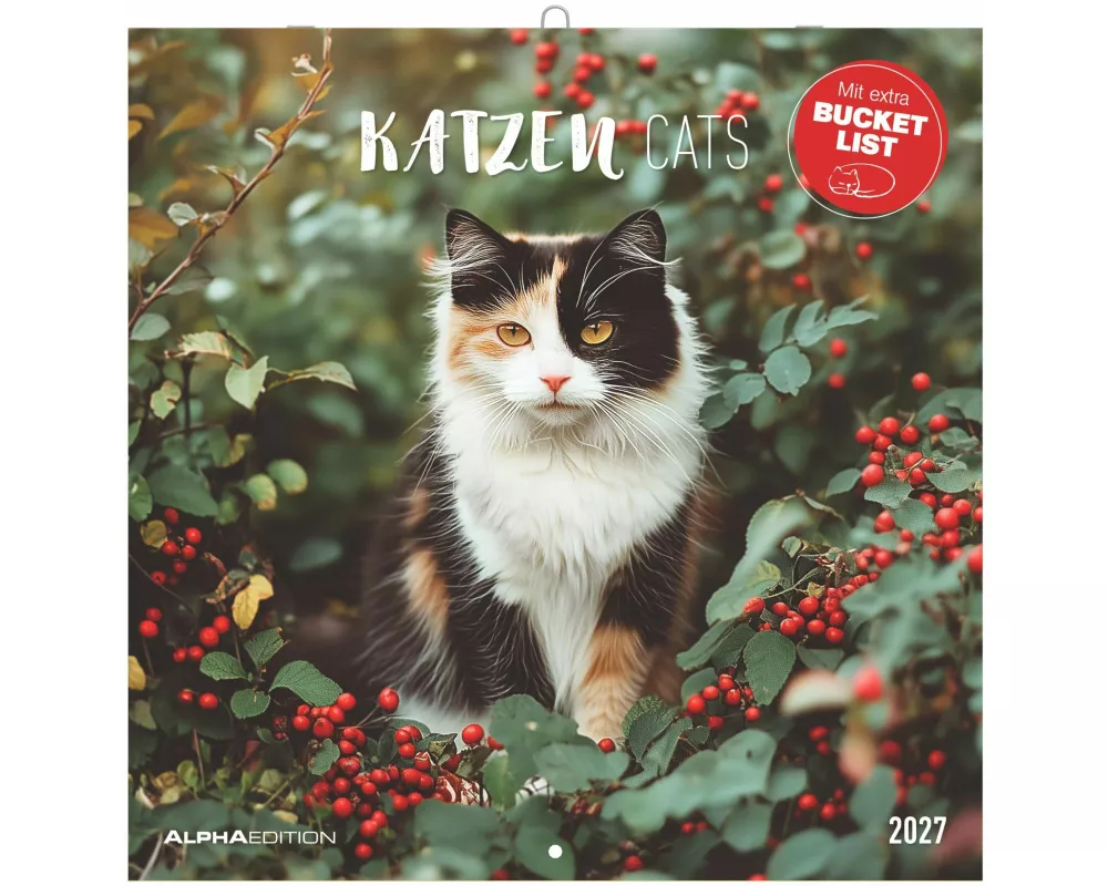 Katzen 2027