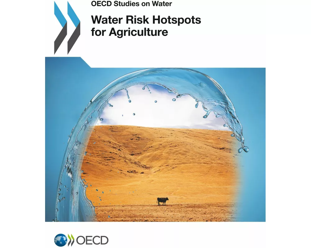 Water Risk Hotspots for Agriculture
