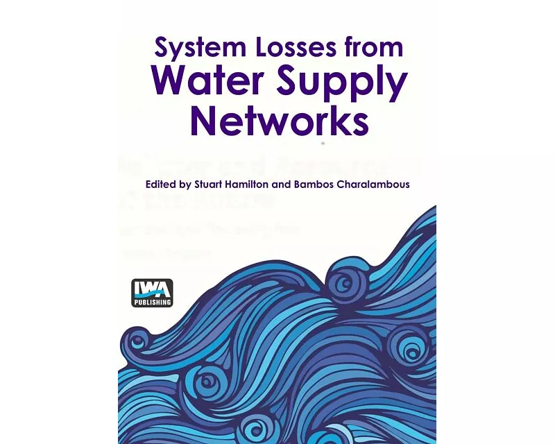 Improving Water Supply Networks: Fit for Purpose Strategies and Technologies