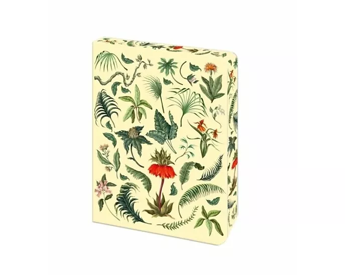 The Fern Journal