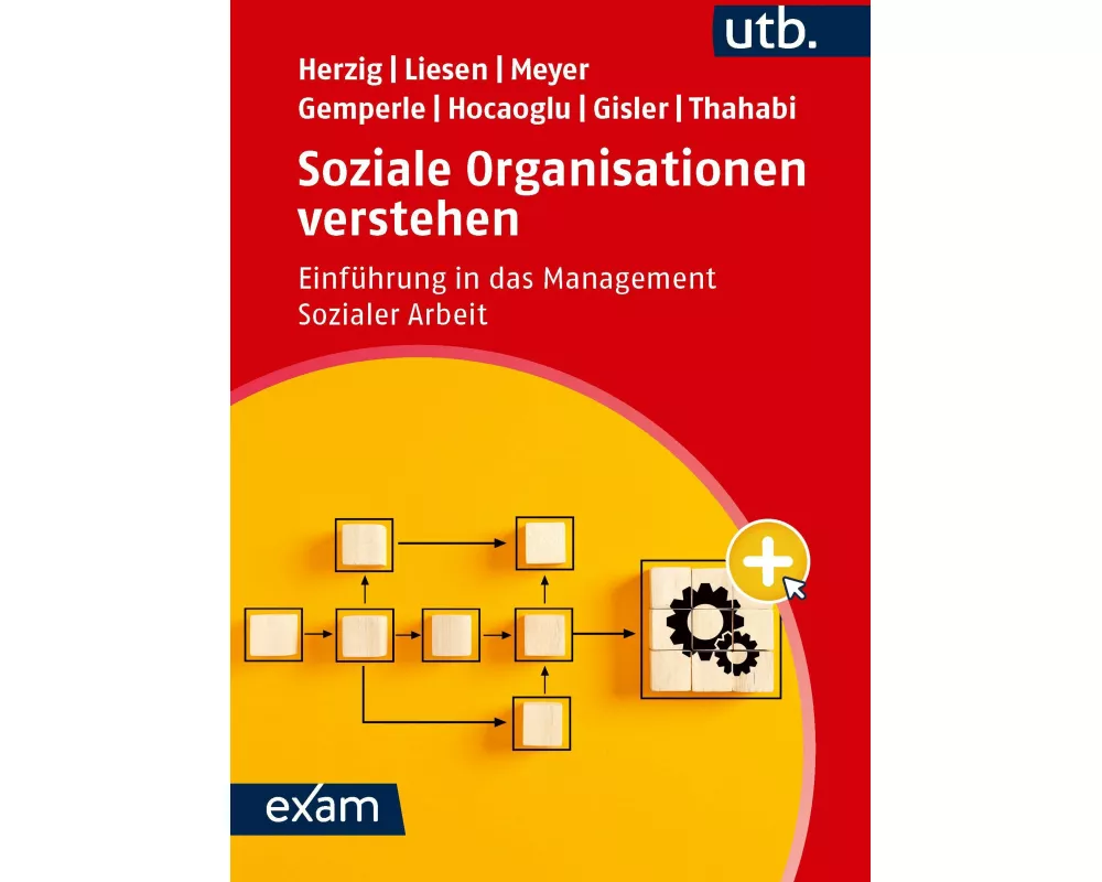 Soziale Organisationen verstehen