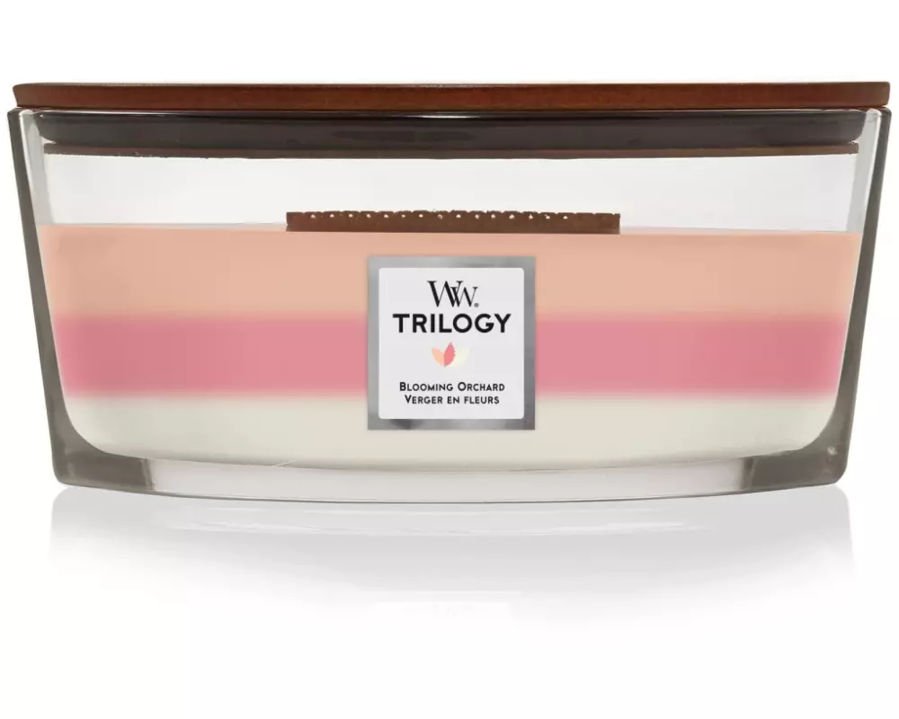 Woodwick Duftkerze Blooming Orchard Trilogy Ellipse