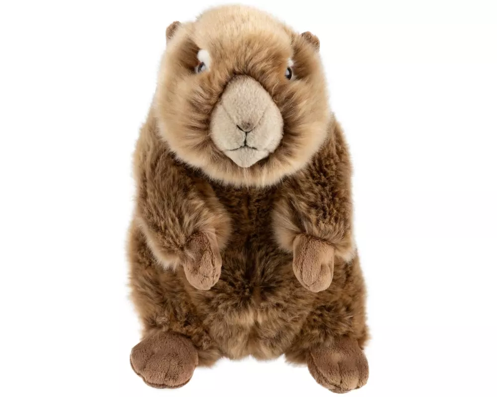 Leo Brummbär Plüsch Murmeltier 25 cm