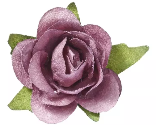 HobbyFun Streudeko Rosen 20 Stück, Rosenholz