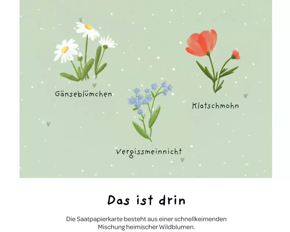 Die Stadtgärtner Glückwunschkarte Viel Glück A6
