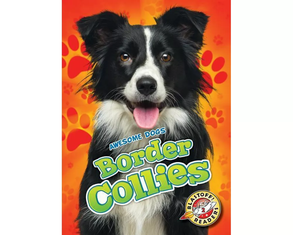 Border Collies