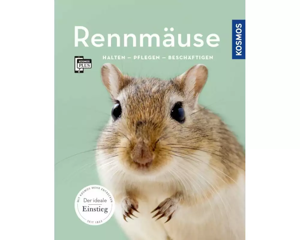 Rennmäuse