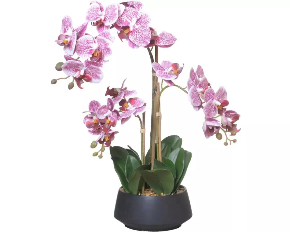 CHALET Kunstblume Orchidee im Topf 58 cm, Weiss/Rosa