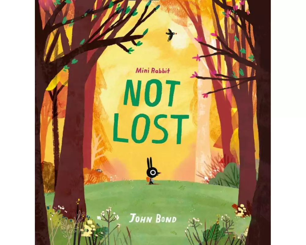Mini Rabbit Not Lost
