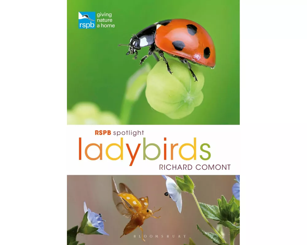 RSPB Spotlight Ladybirds