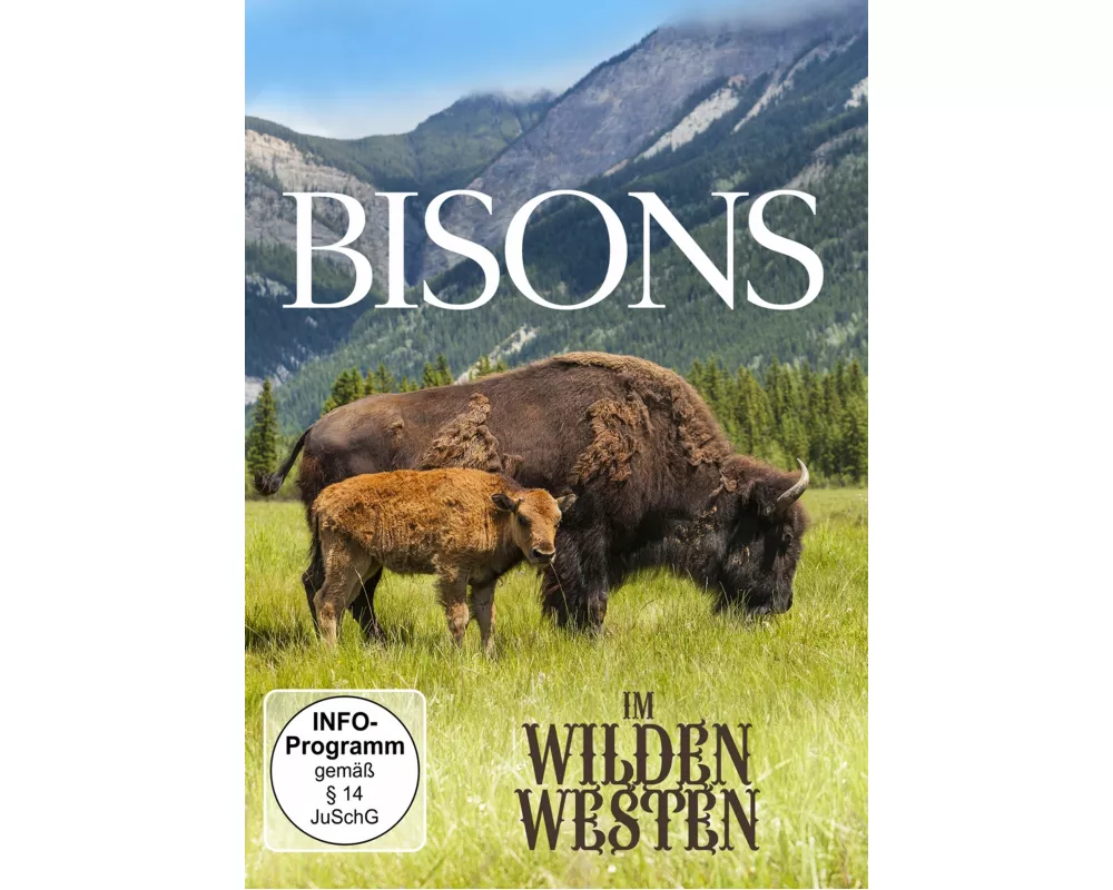 Bisons Im Wilden Westen