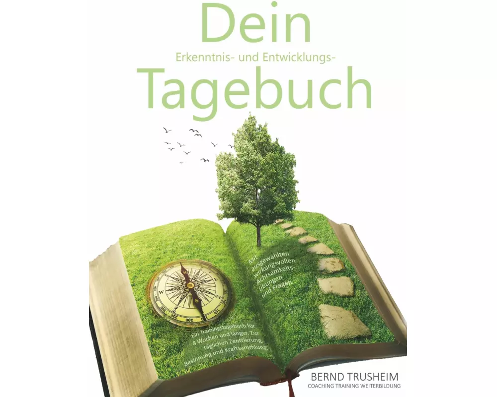 Dein Erkenntnis- und Entwicklungstagebuch