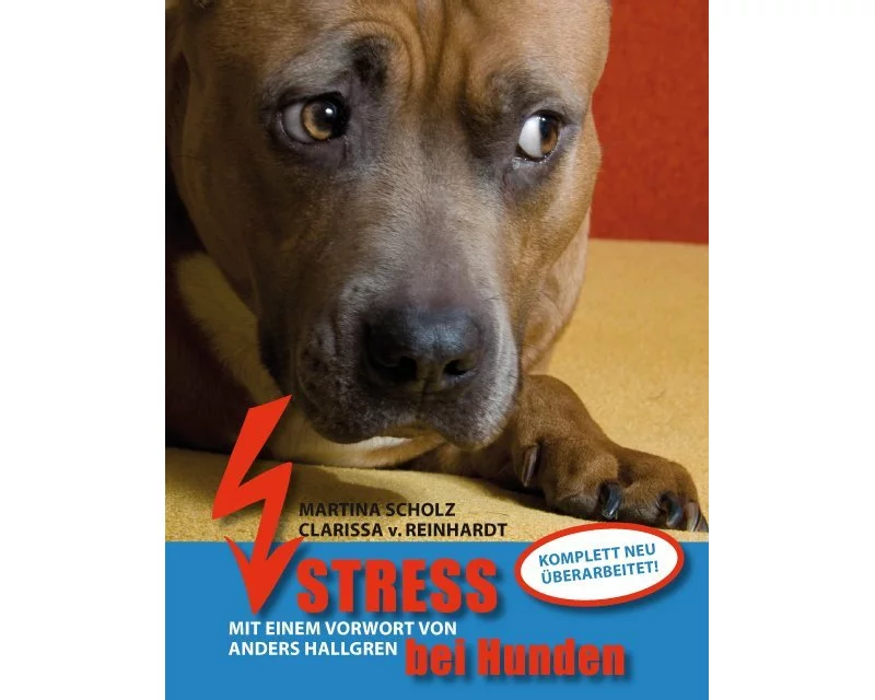 Stress bei Hunden