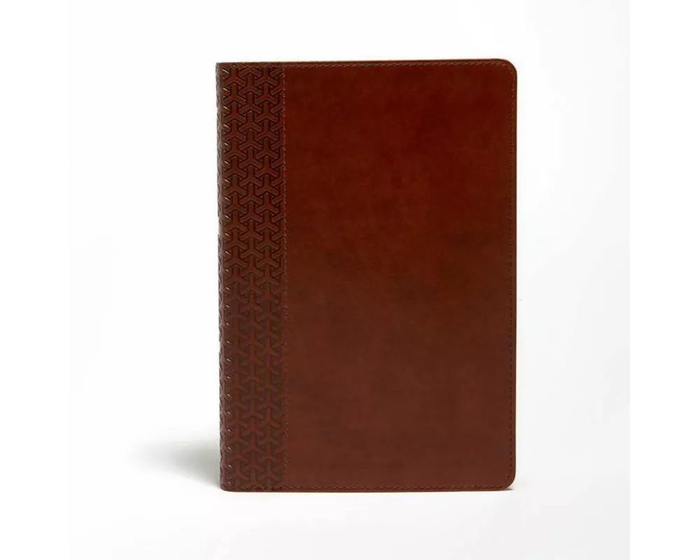 KJV Everyday Study Bible, British Tan LeatherTouch