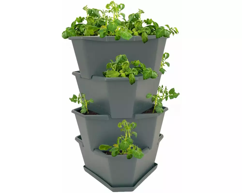 Gusta Garden Aufzuchttöpfe PAUL POTATO Starter, 4 Etagen, Anthrazit
