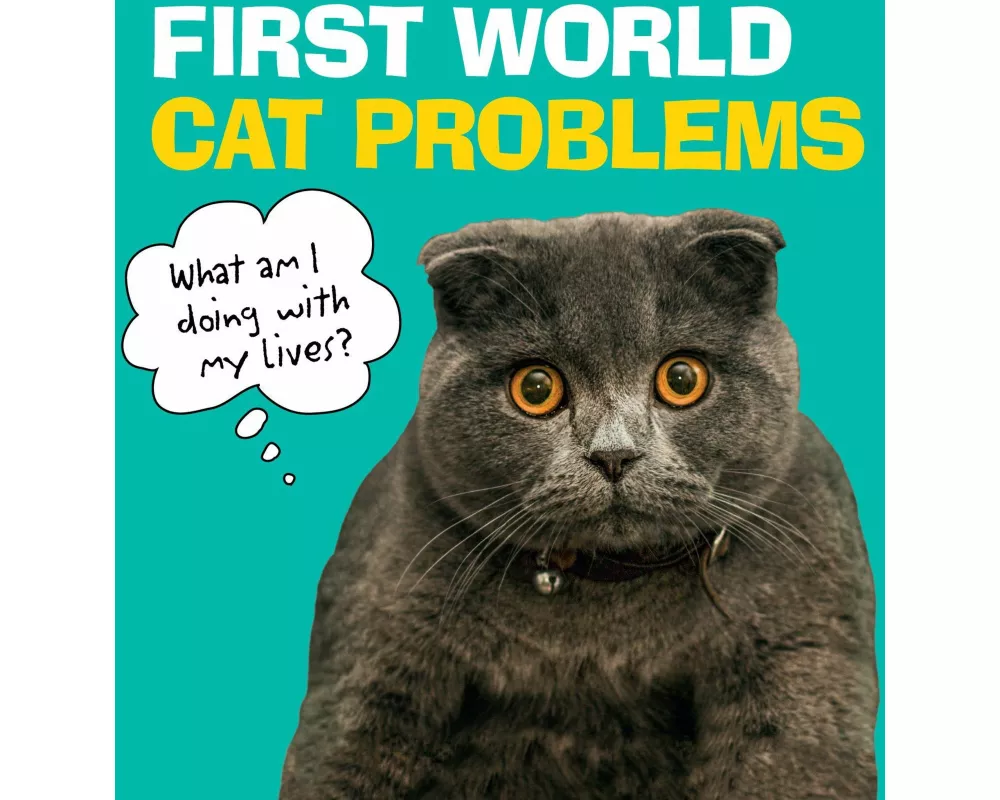 First World Cat Problems