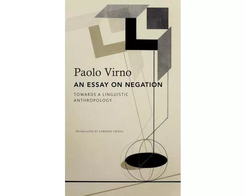 An Essay on Negation