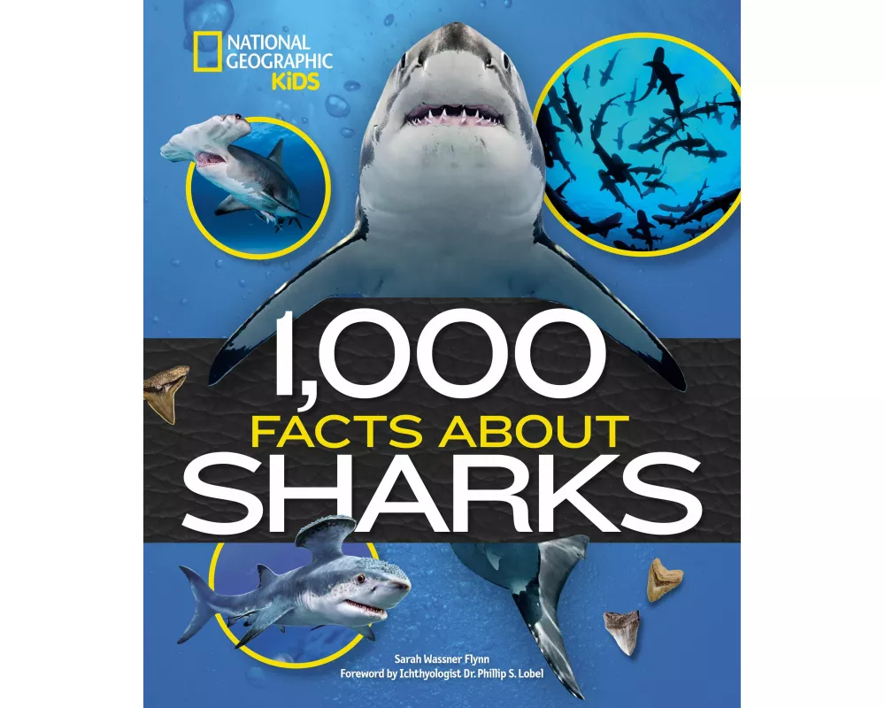 1,000 Facts About Sharks