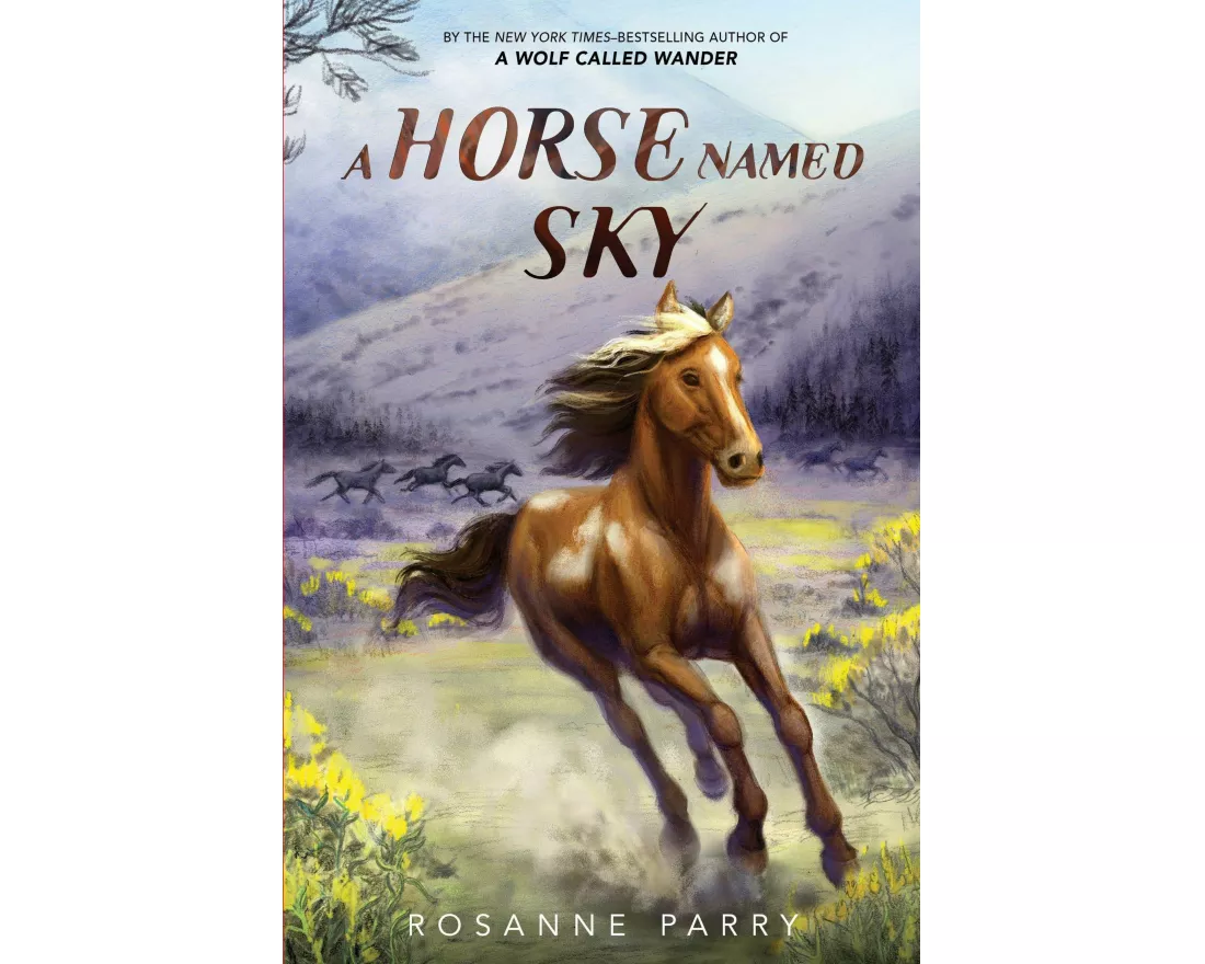 A Horse Named Sky
