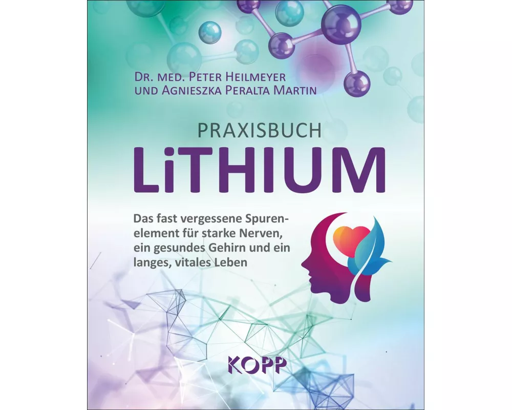 Praxisbuch Lithium