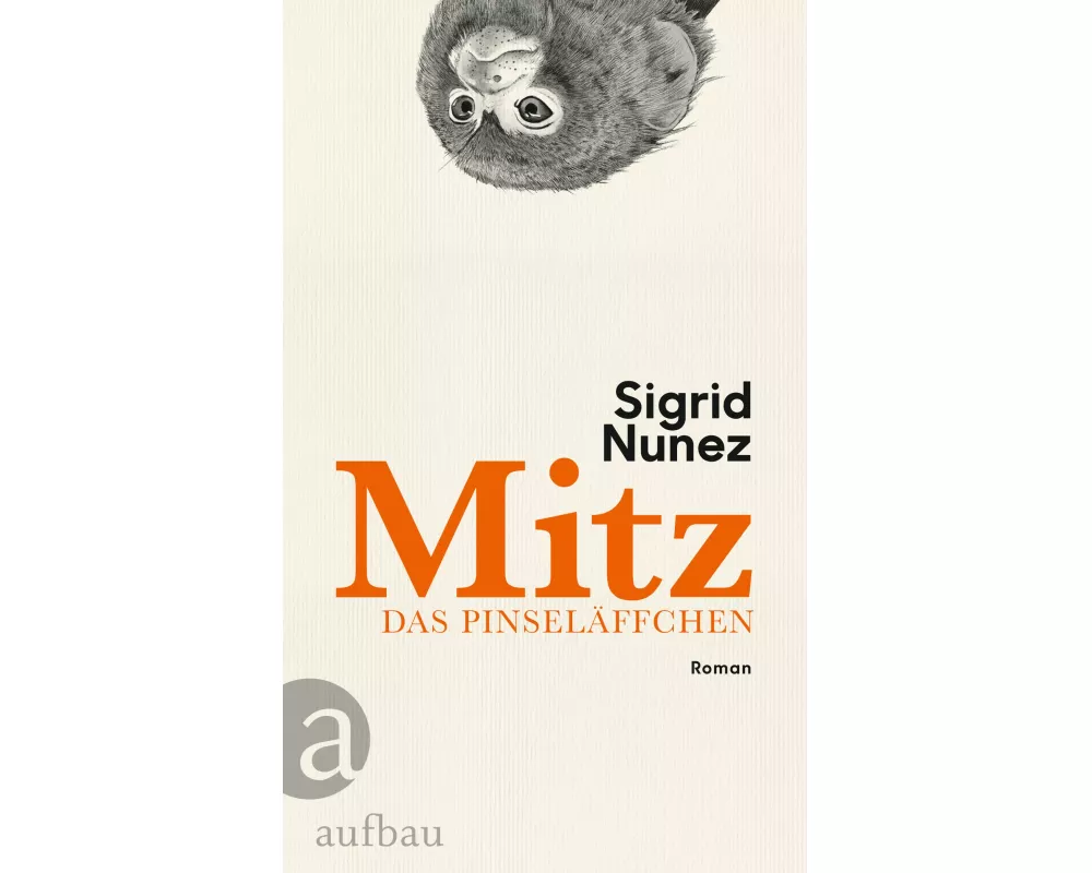 Mitz, das Pinseläffchen